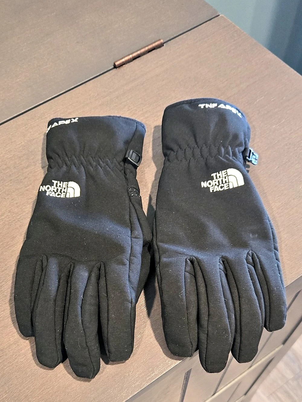 The North Face Glives
